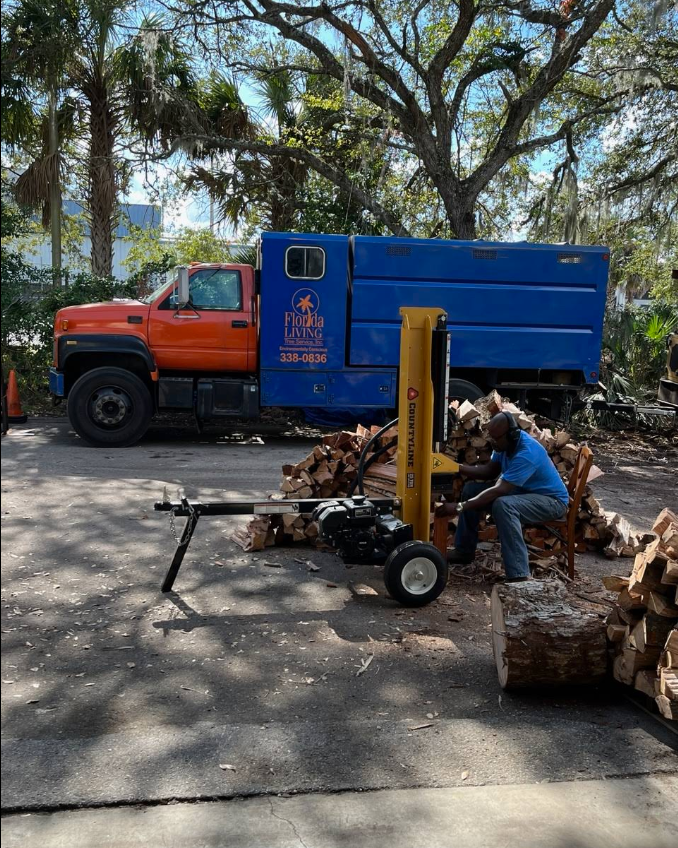 Florida Living Tree Service crew working on tree removal in Gainesville